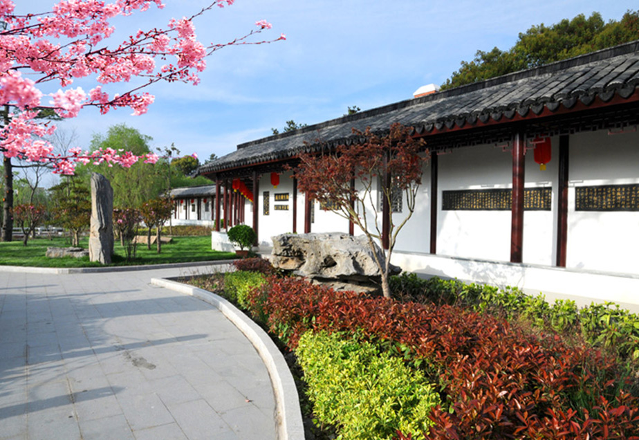 �����Ļ�����