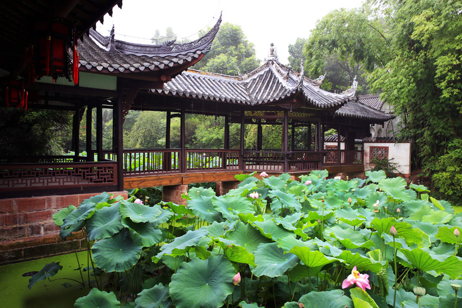 ������������ͤ